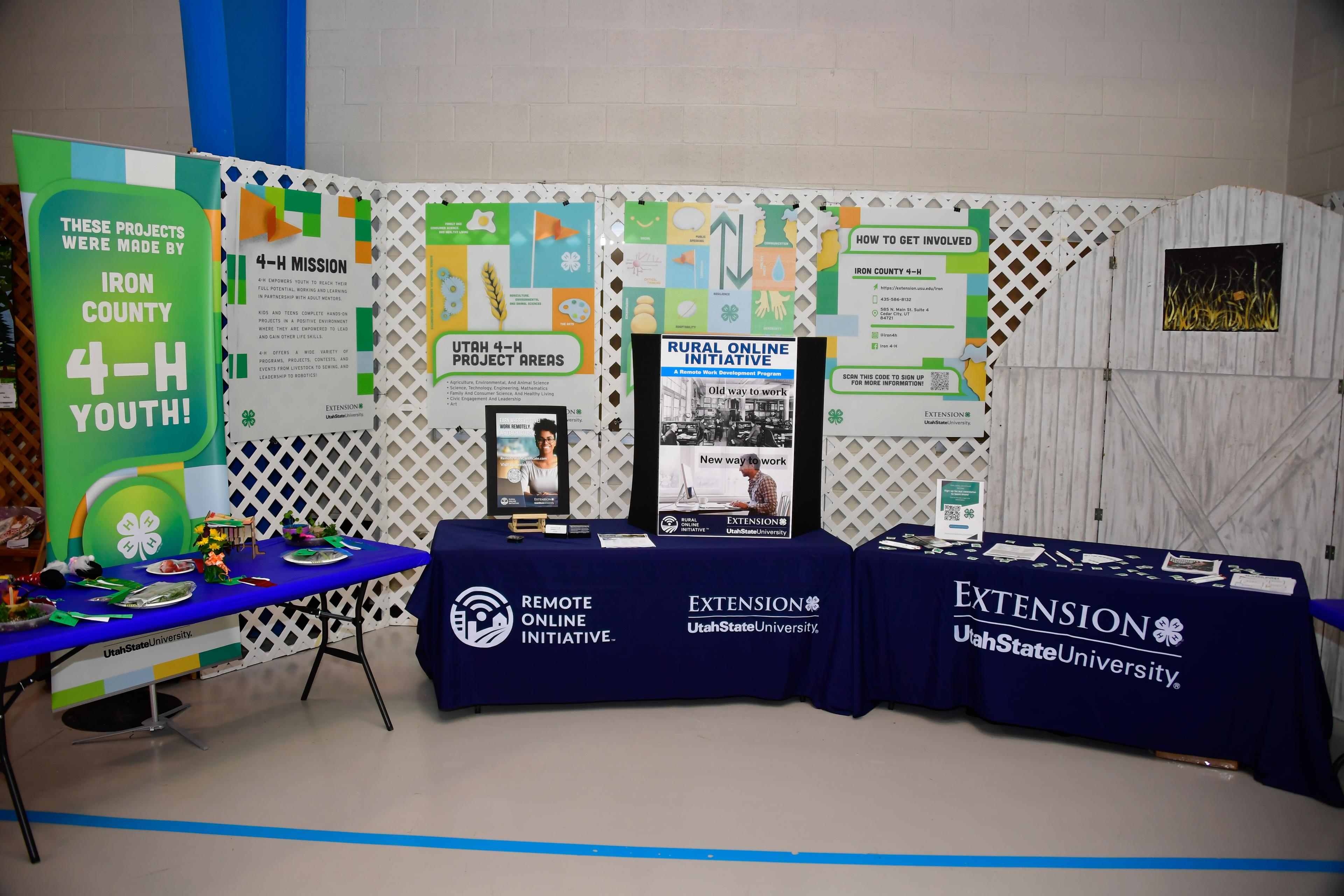4-H Activities gallery photo 1