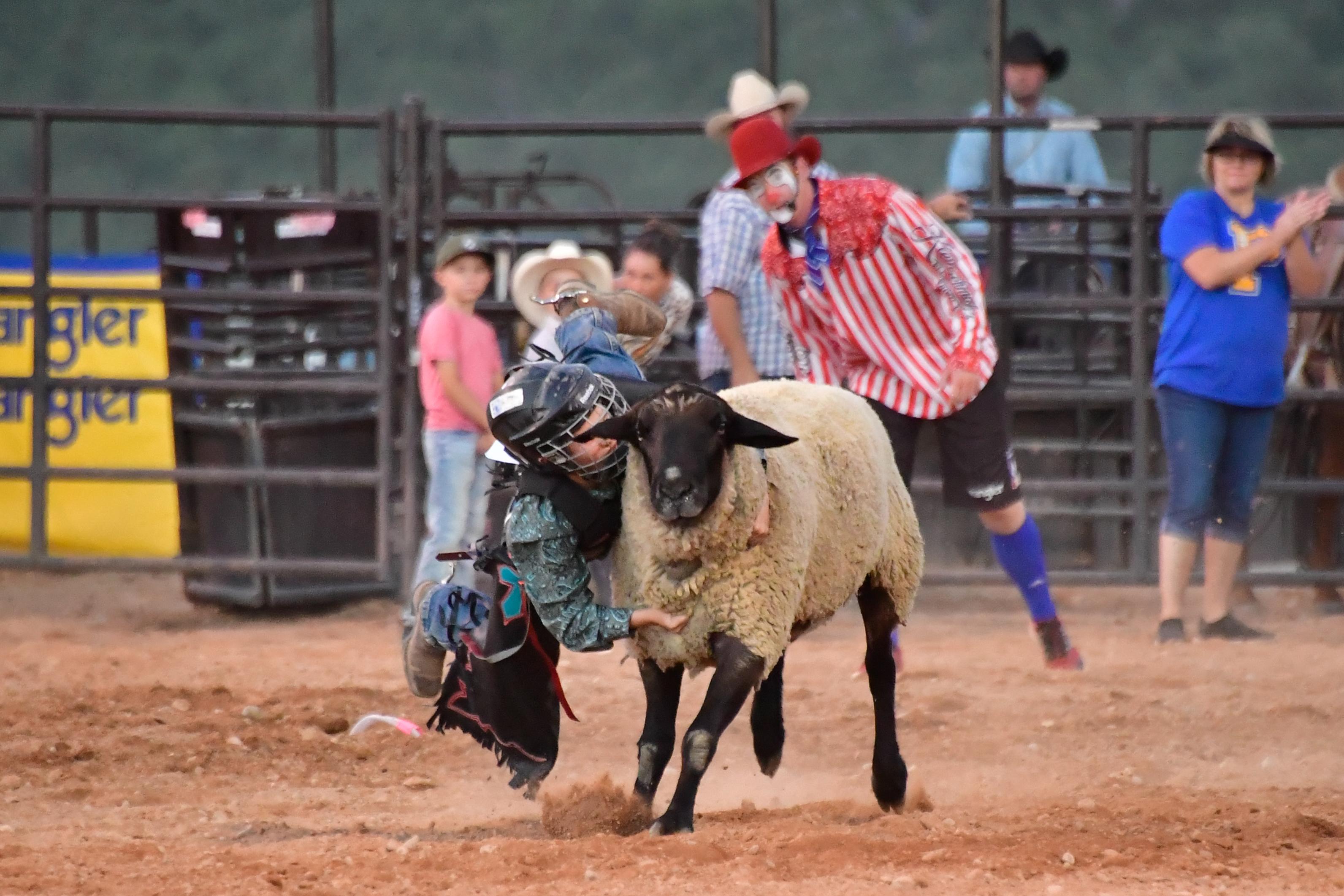A young cowgirl participating in the rodeo