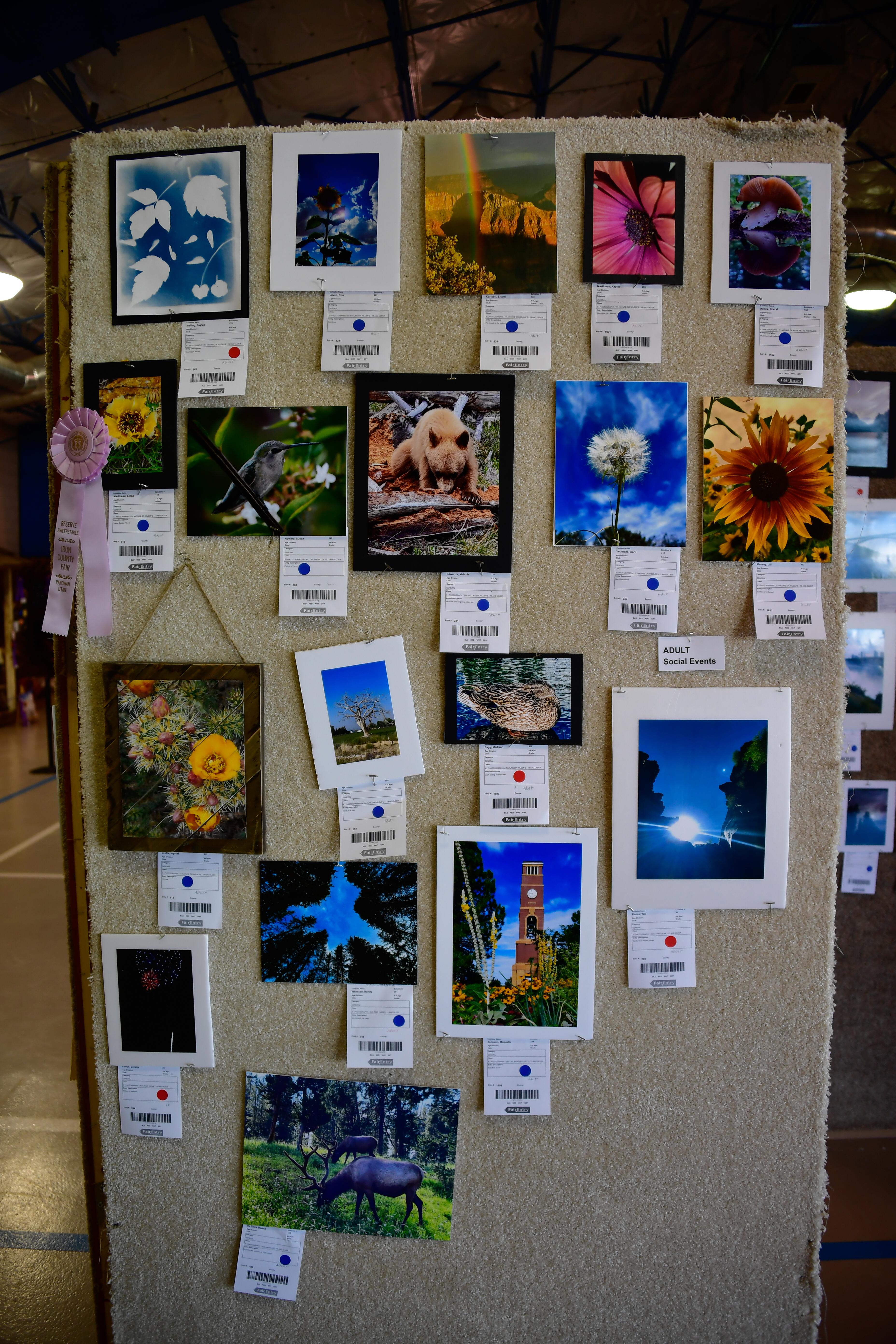Photos