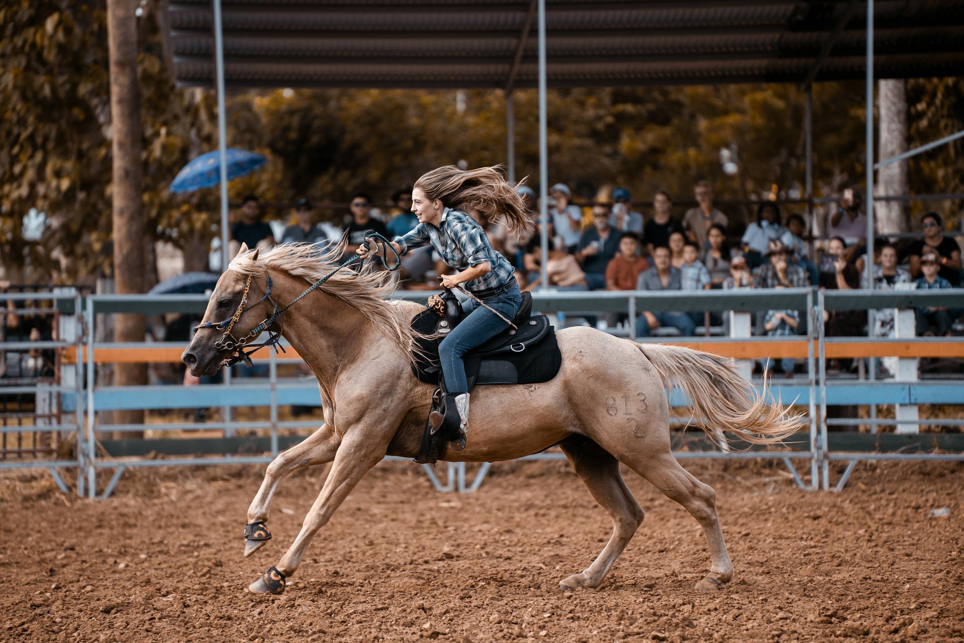 Bucking bronco with a man holding on for dear life