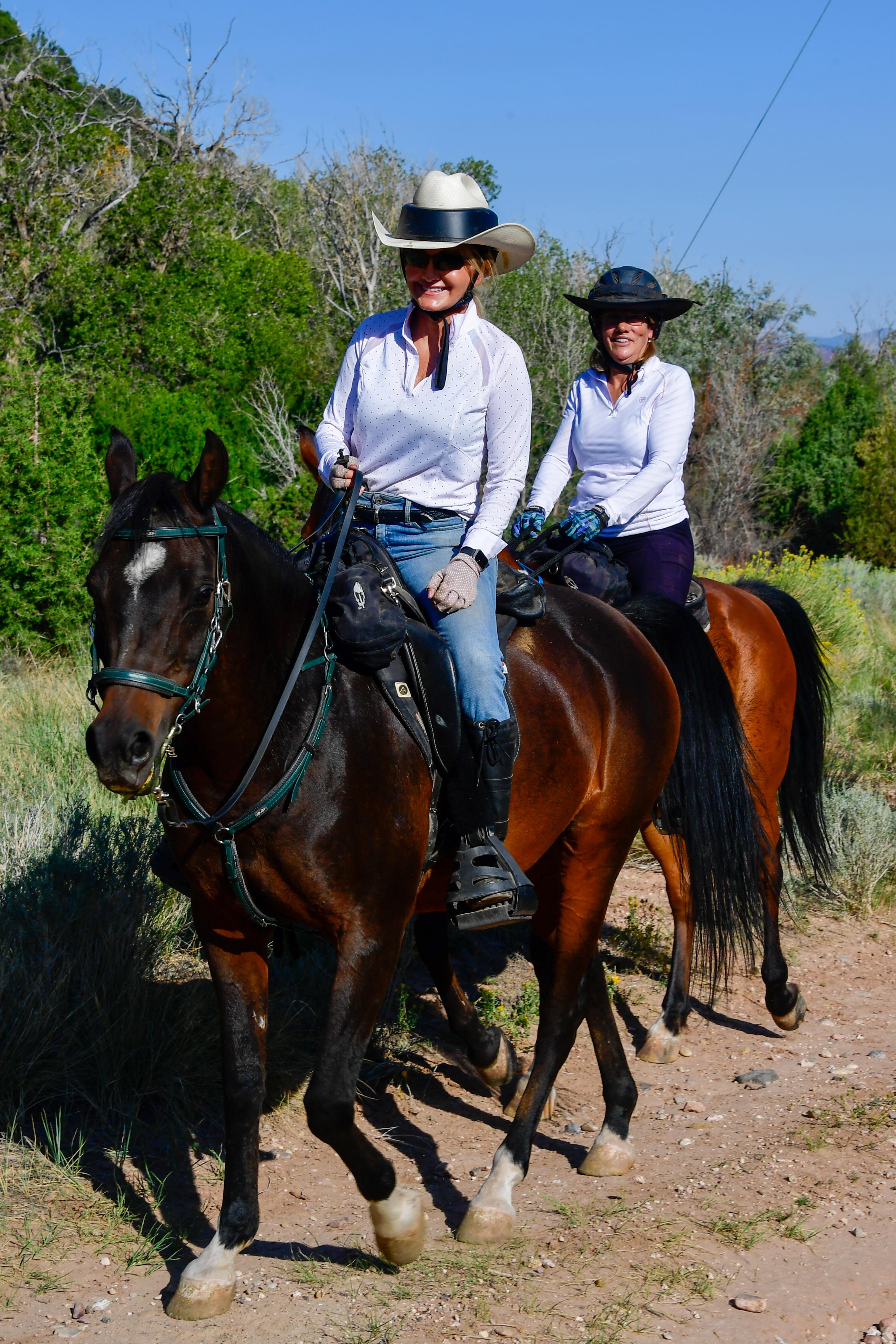 group riding horses