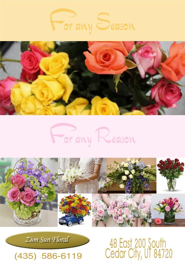 Zion Sun Floral