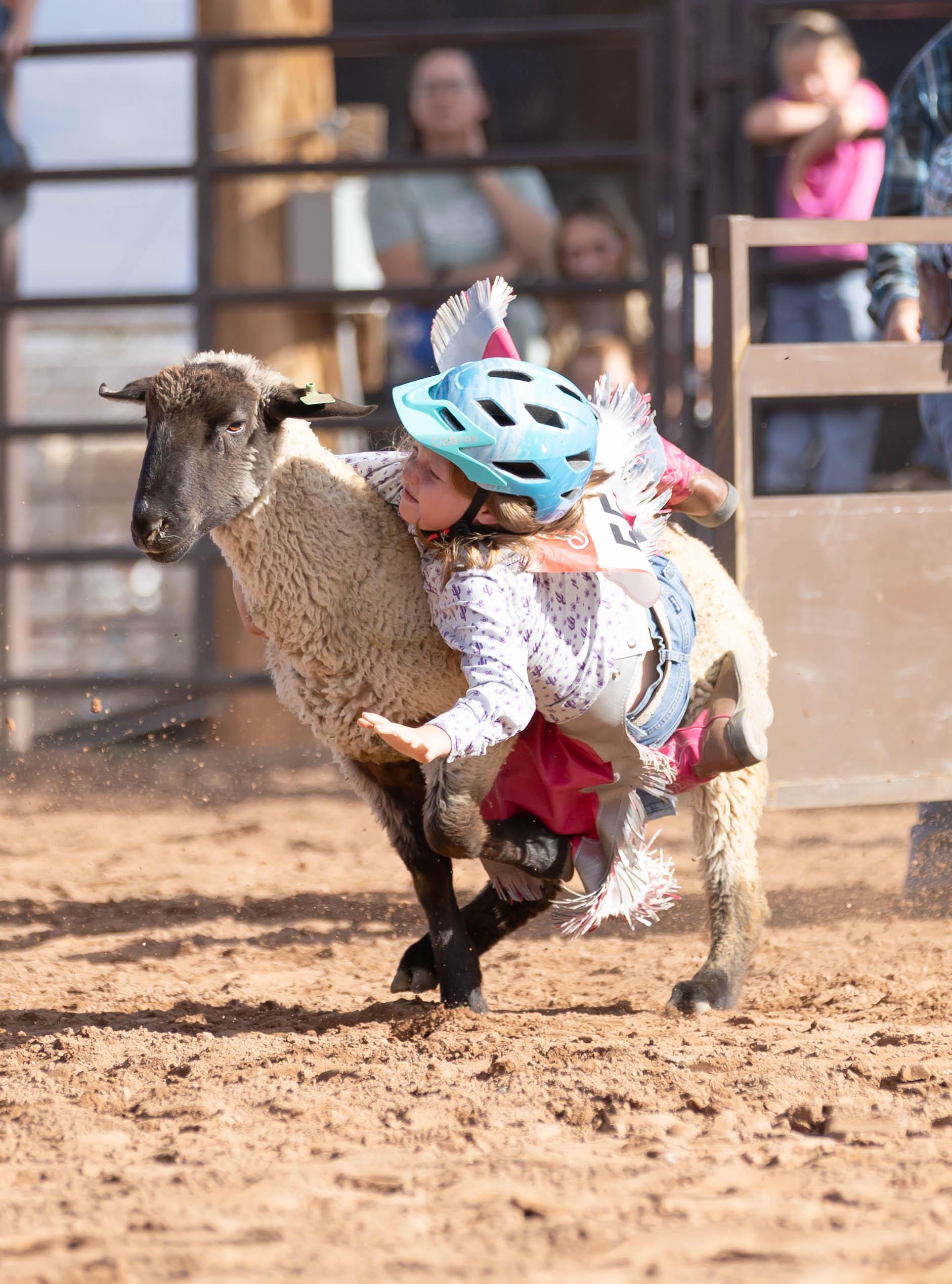 PRCA Rodeo at the Iron County Fair